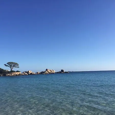 Domaine Arca 6 A 8 Personnes Porto-Vecchio (Corsica)